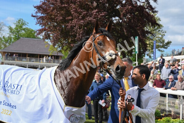 yr12052022r4-66 - Race 4 3.35pm Al Basti Equiworld Dubai Dante Stakes