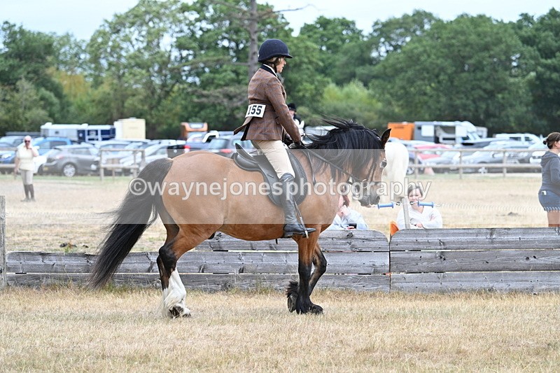 WJ7_0498 - Class 6 Ridden Mountain and Moorland