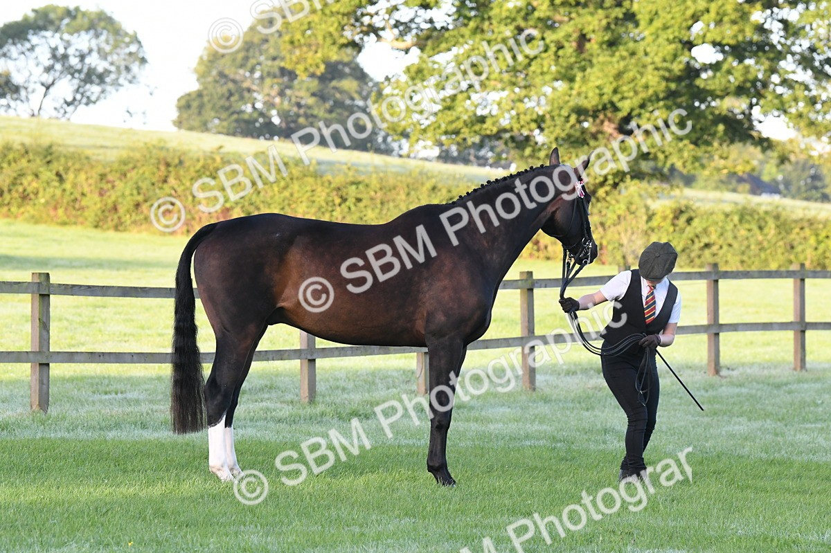 SBM_32587 - S15 - Condition & Turnout In Hand