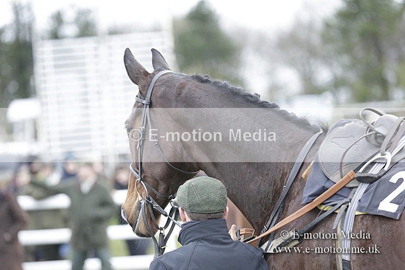 PtP 150320 0550 - New Forest Point-to-Point Larkhill 15/03/20