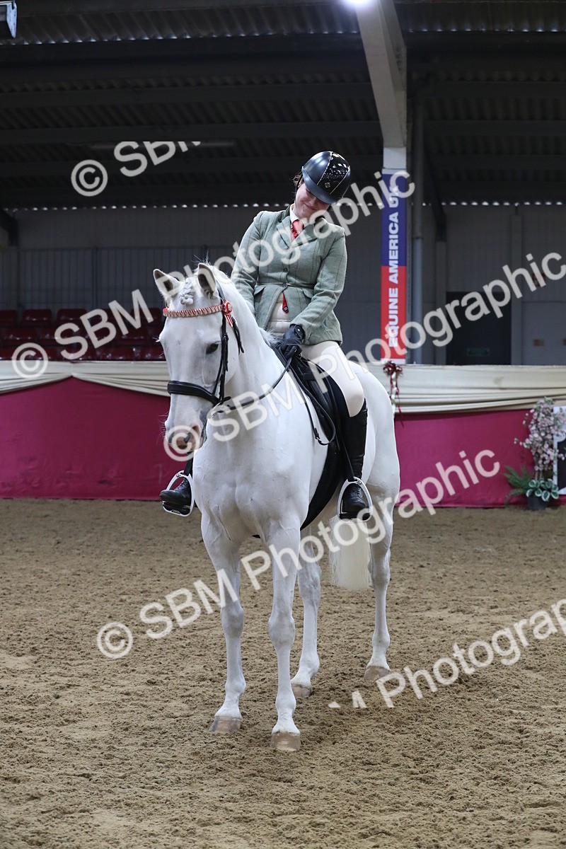 SBM_10461 - Class 102 Equitation (best rider) Adult