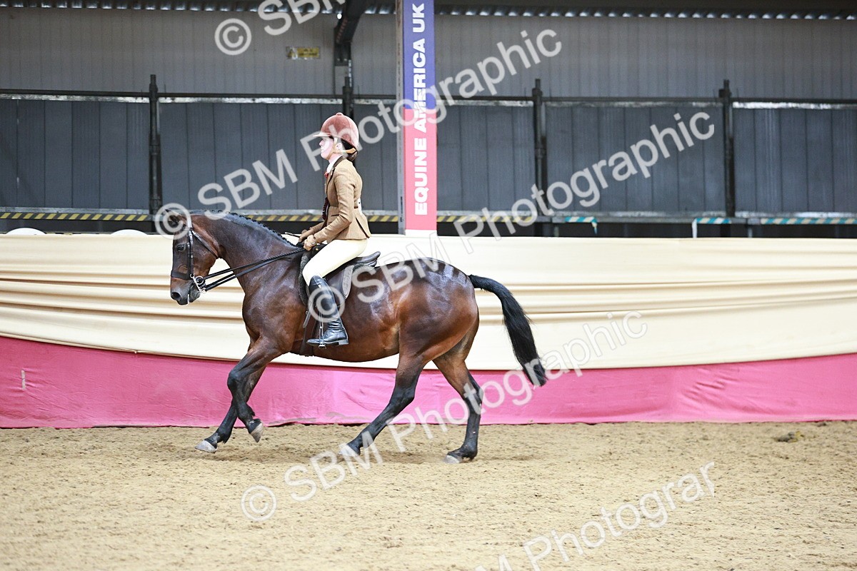 SBM_08669 - Regional Ridden Champ