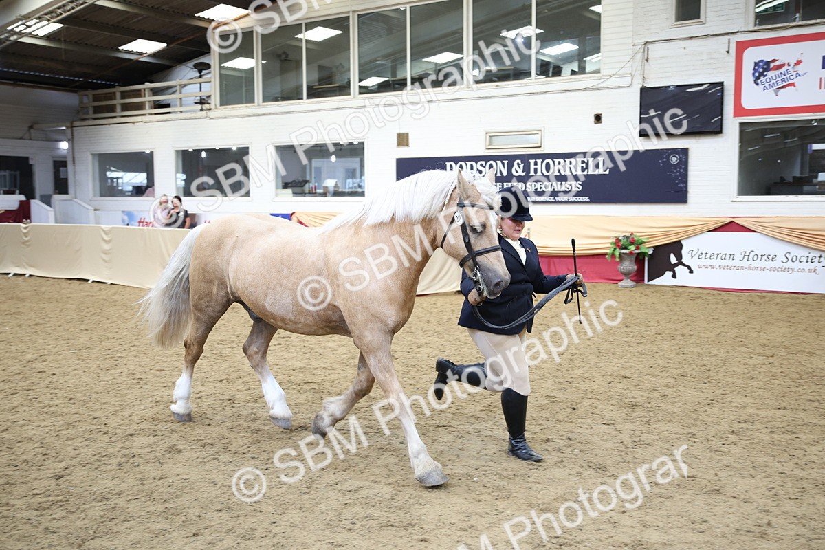 SBM_24253 - Class 905 - Supreme Final - Ridden Veteran