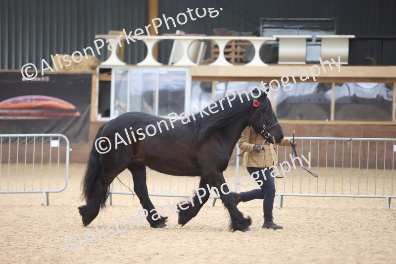 20251109-1219 - Supreme Championship