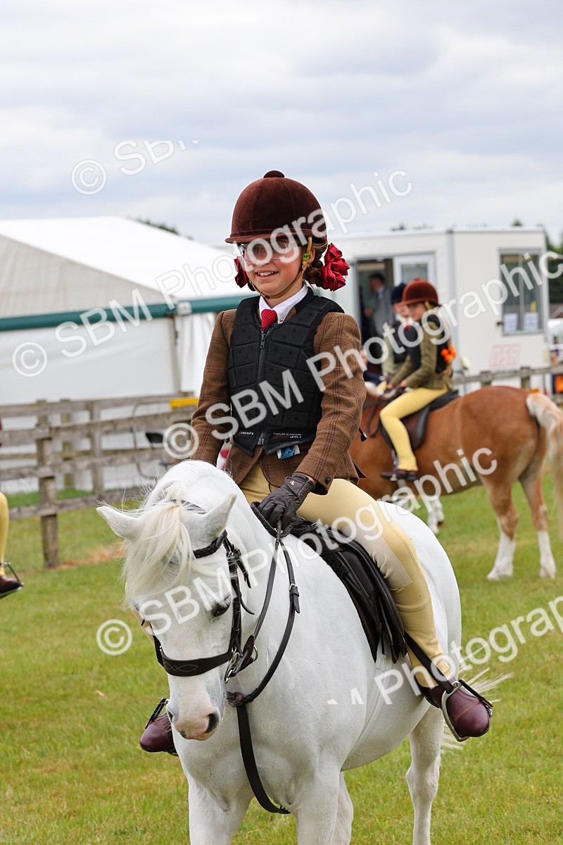 SBM_08825 - Class 42-43 - LIHS BSPS Heritage Working Sports Pony
