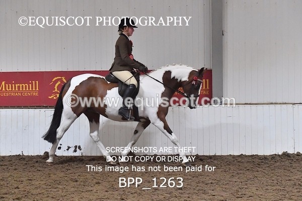 BPP_1263 - RING 2