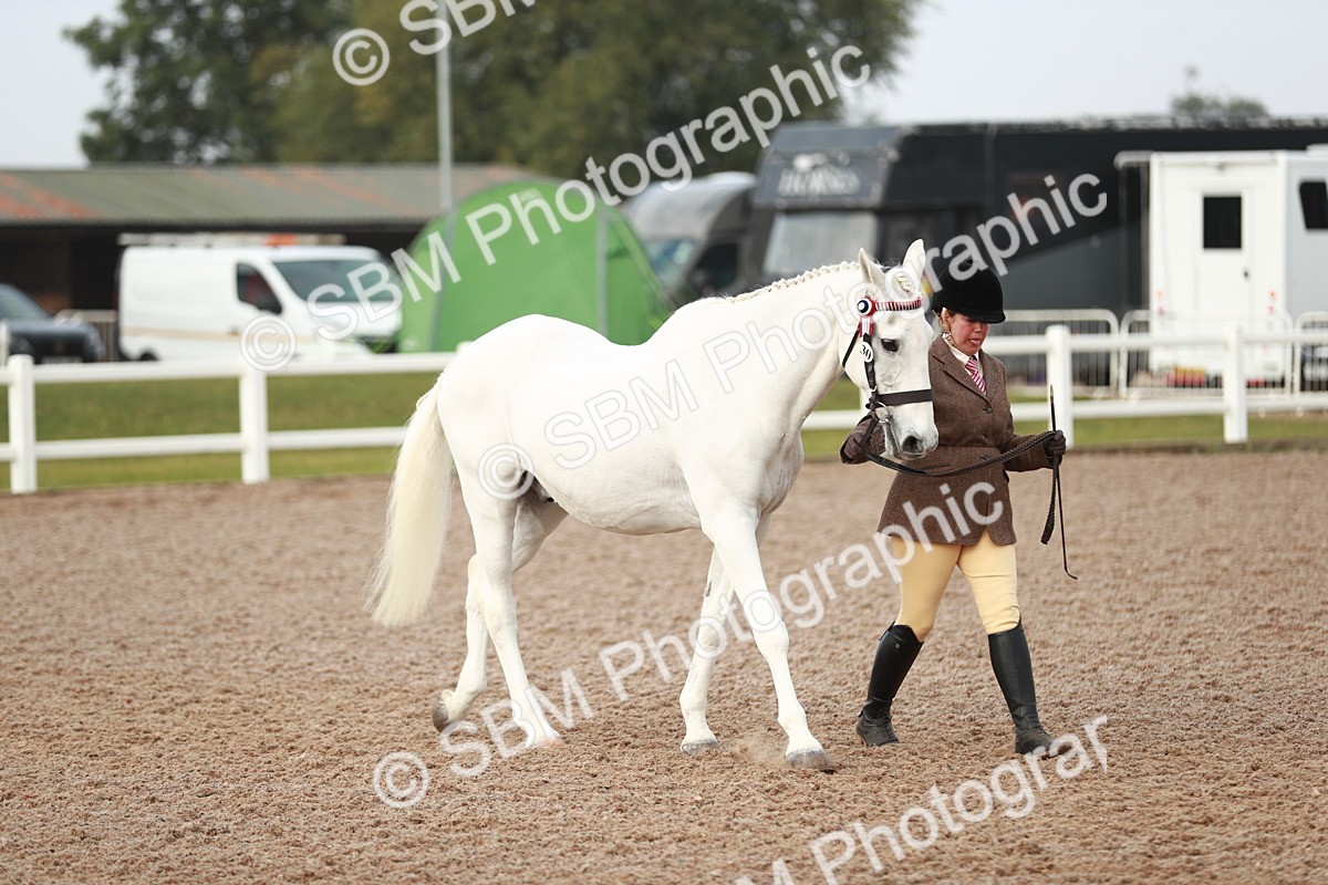 SBM_09489 - Class 201 Best Turned Out IH