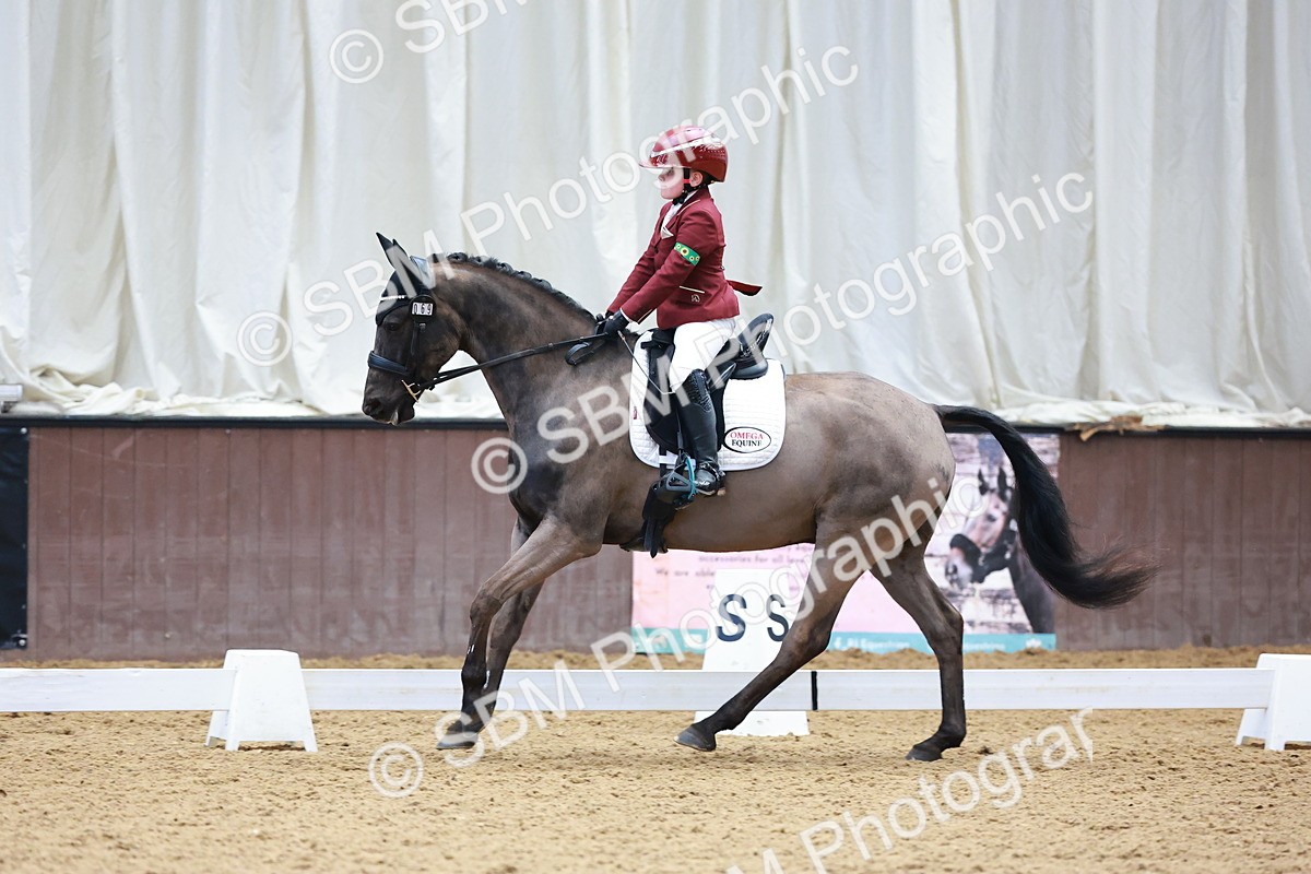 0B8A3899 - Class 3-6-9 - Prel Nov Ele - FSM