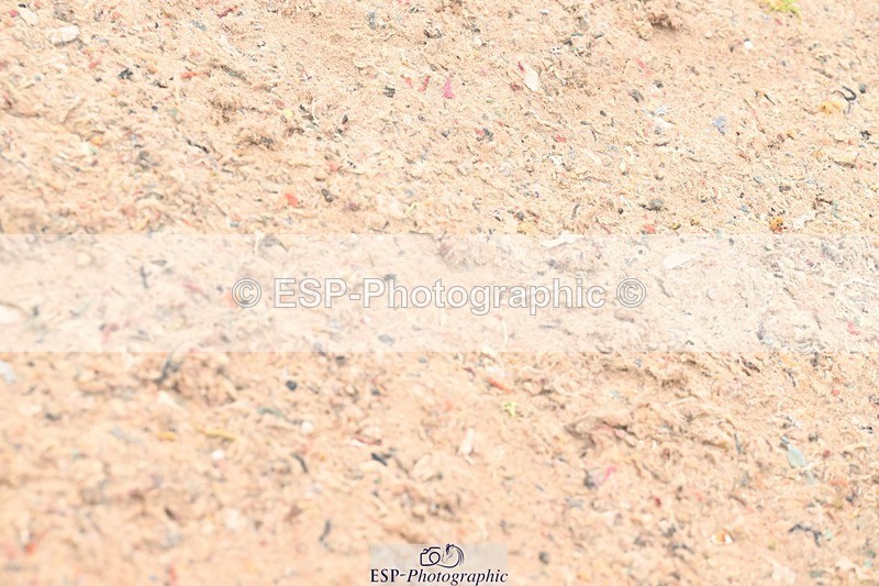 250914-132344-08726 - Cls 29+30 Newcomers and Fox