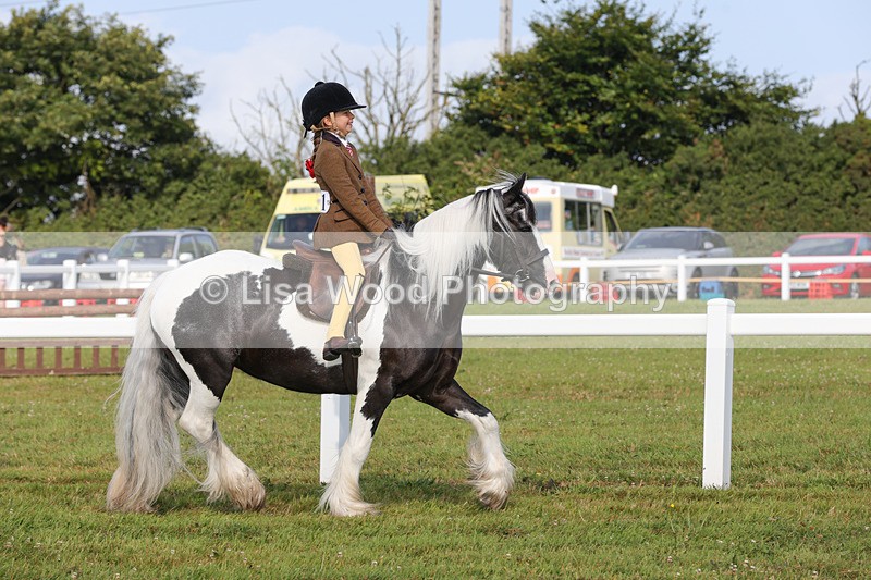 1X9A3199 - Class 28: Ridden Native/Trad Coloured Pony