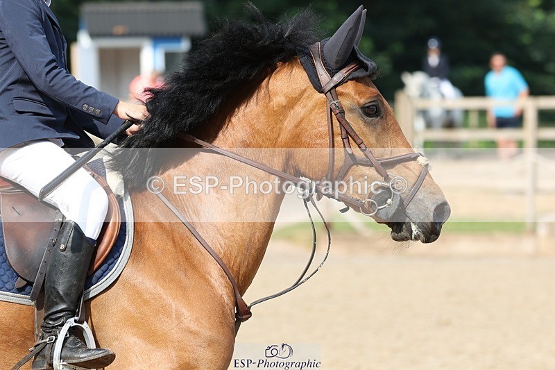 230617-093052-00736 - Cls 08a Pony 1.05