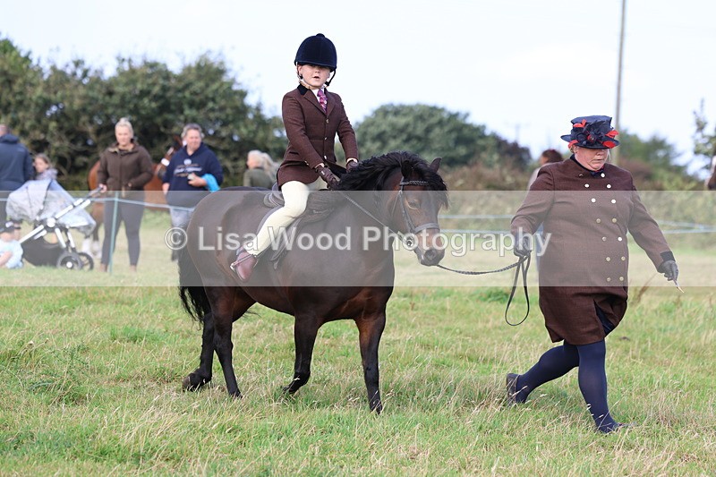 3E7A3600 - Class 2: Lead rein