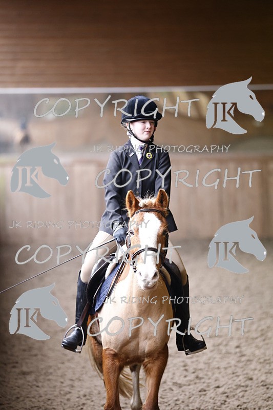 _R6A1363 - Class 1 walk trot 2022