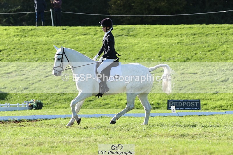 251024A-144102-14093 - F-479-Poppy.Wellman