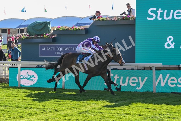 140525-Race 7-Great Bedwyn-3088 - Race 7 5.25pm Stuey Weston & Friends Getting Out Handicap