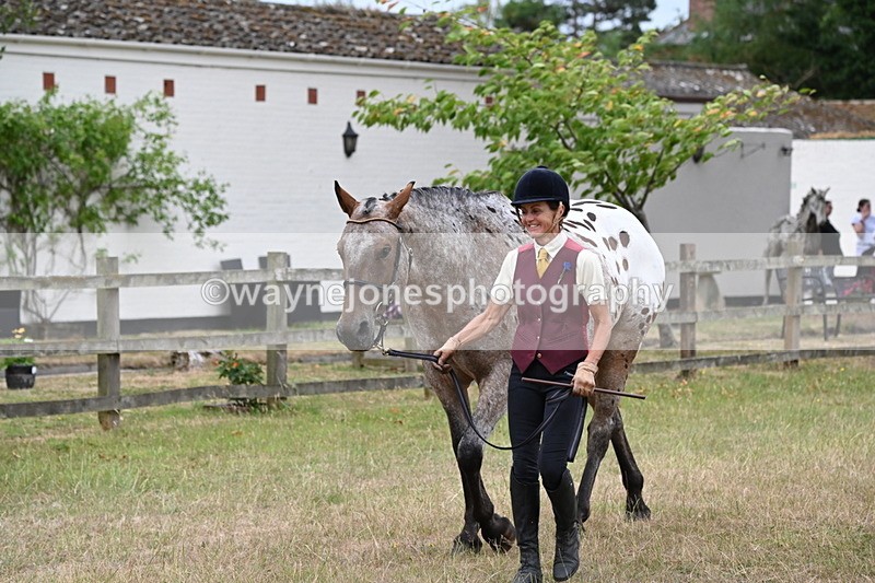 WJ6_7998 - Class 10 Coloured in Hand