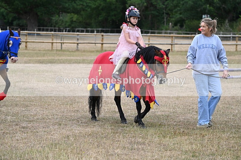 WJ6_8663 - Class 11 Fancy Dress