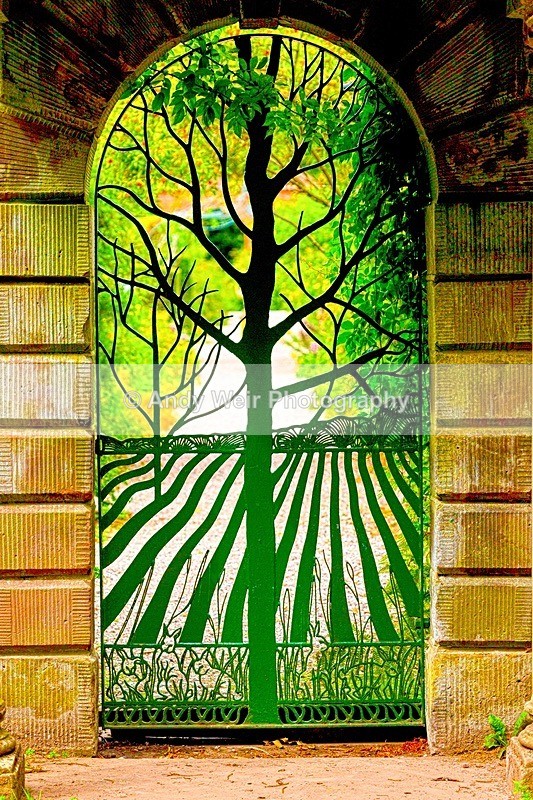 20180803-3K8A2894-Edit - Miscellaneous Photographs