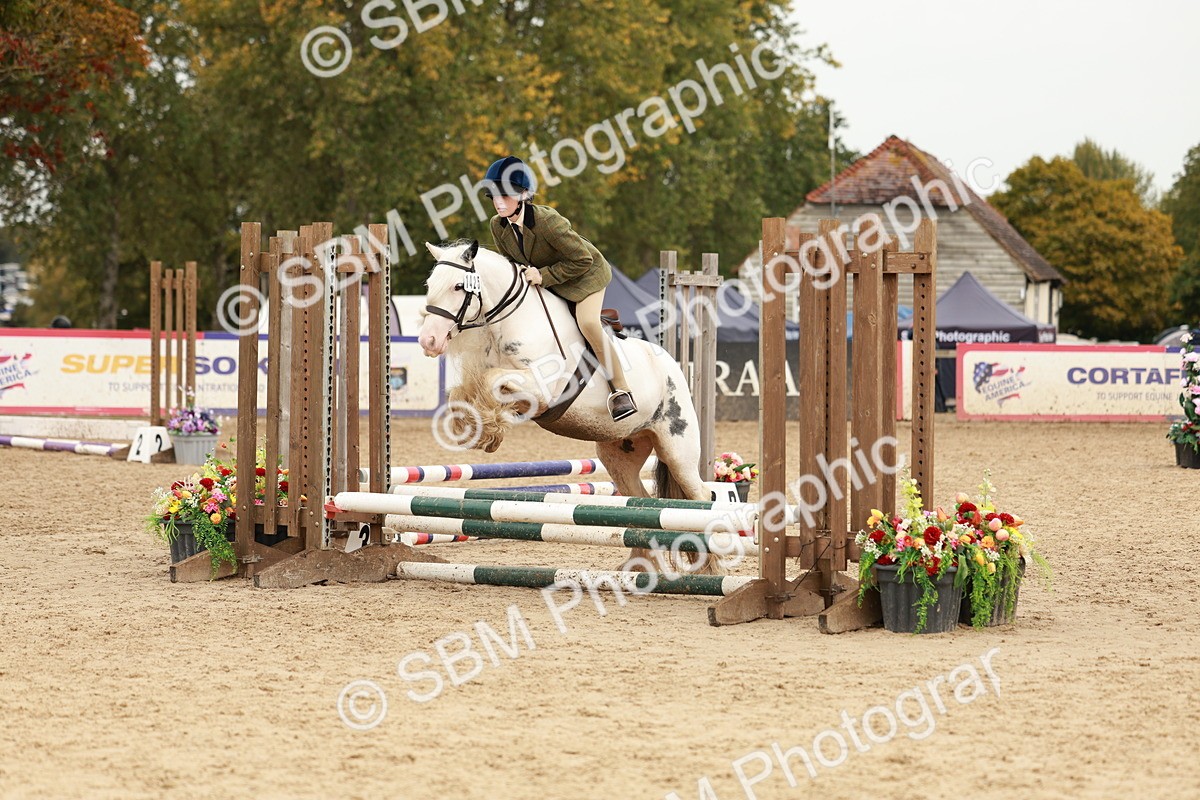 SBM_58062 - J11 - Junior Pony 50cm Championship