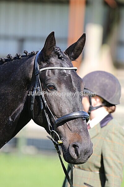 SIAL5844 - Ring 1 & 3