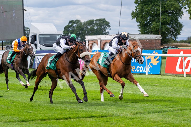 020825-Race 1-Rikki Tiki Tavi-2393 - Race 1