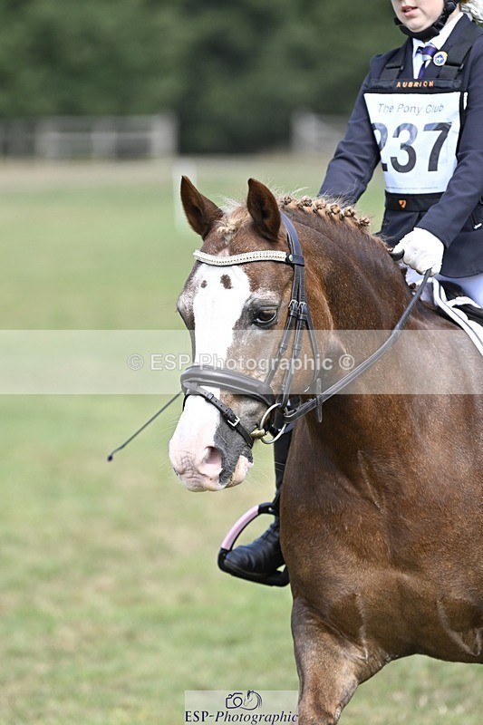 250821A-123149-15581 - DR 11.00 to 12.00