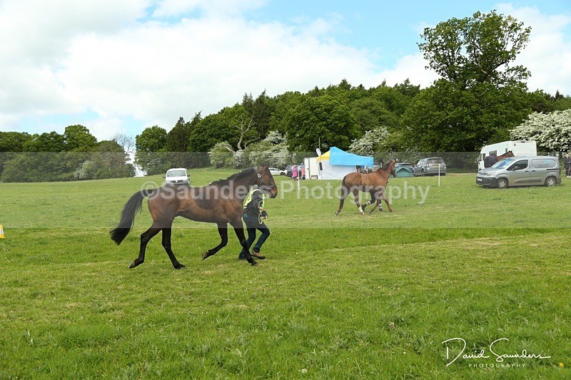 DSPX2105 - Venue & Vetting