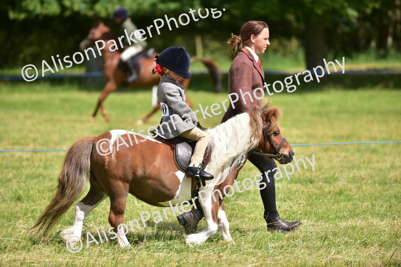 20260614-1173 - Class 11a - Lead Rein Pony (Unplaited)