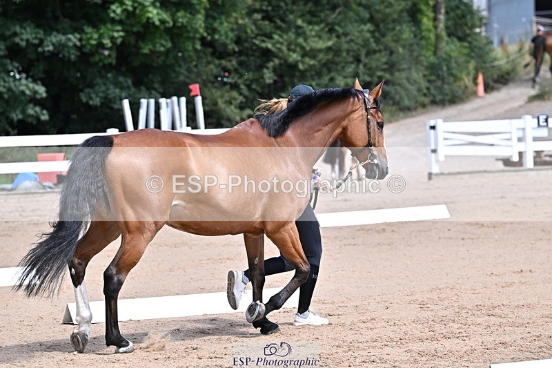 250716-124227-00128 - Trot Up 12.30 to 1.30