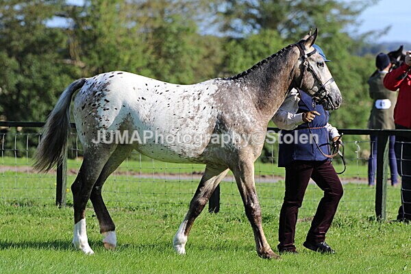 SIAL5494 - Ring 1 & 3