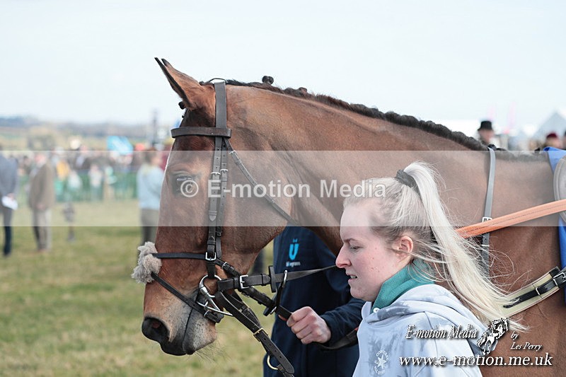 PtP 010325 165 - Beaufort Races Didmarton 01/03/25