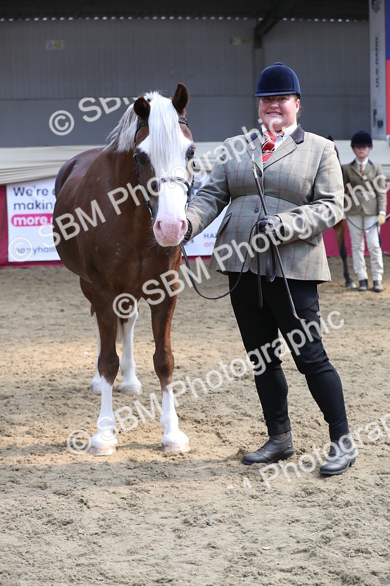 SBM_15338 - Class 501 M&M IH Supreme Final