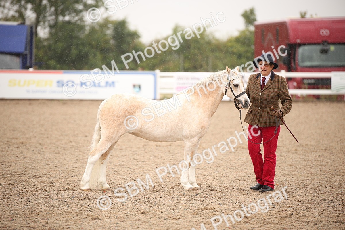 SBM_20688 - Class 705 - IH  Combination 65+