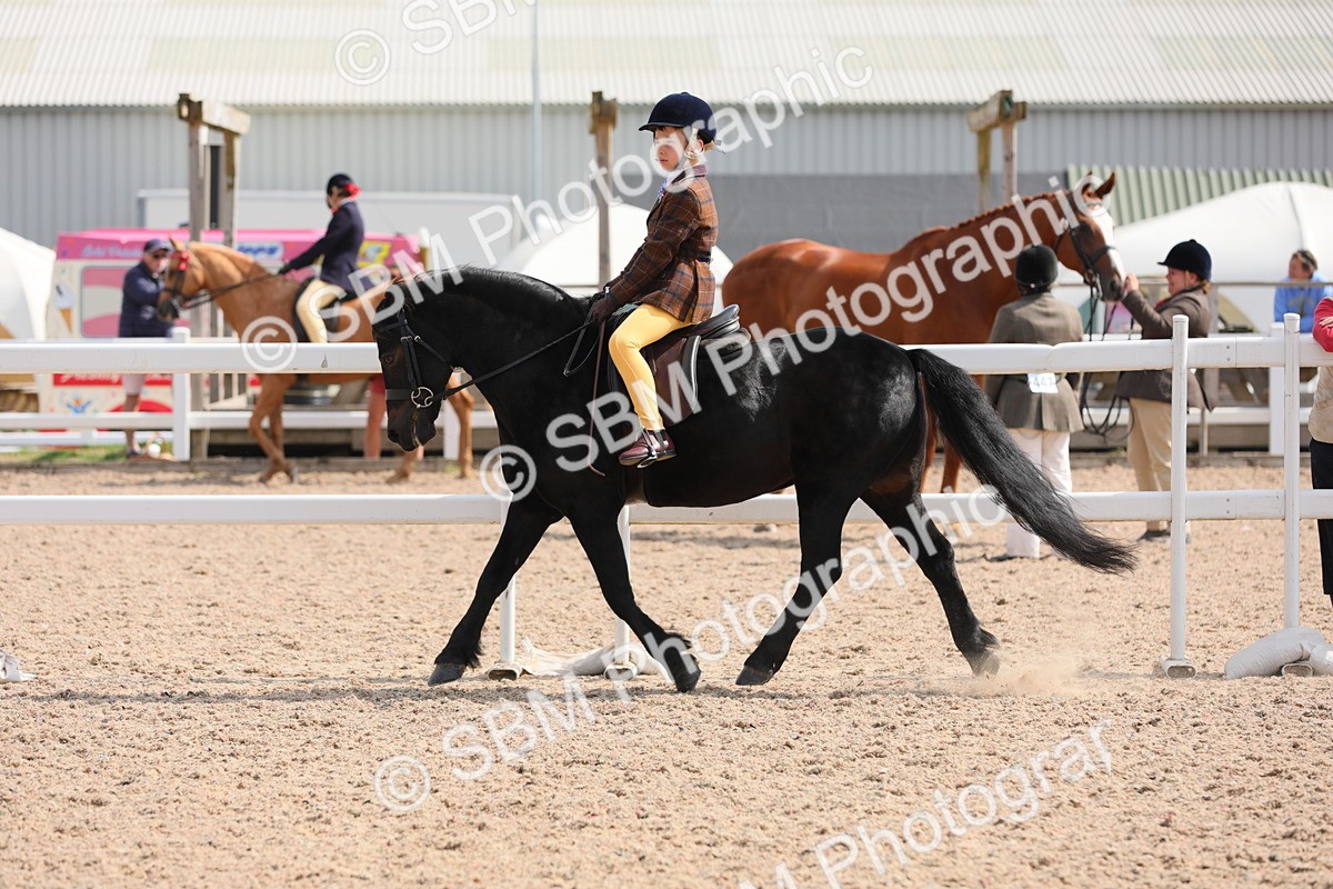 SBM_14719 - Class 310 First Ridden Pony