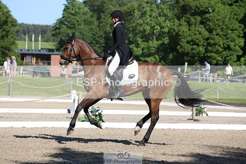 230526-091113-05010 - 352-TEQUILA_SUNRISE-Pippa_Taylor-WEDTrotUp+DR