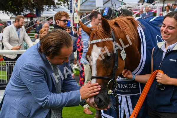 250823-Race 4-Live In The Dream-0756-2 - Race 4 3.35pm Coolmore Wootton Bassett Nunthorpe Stakes