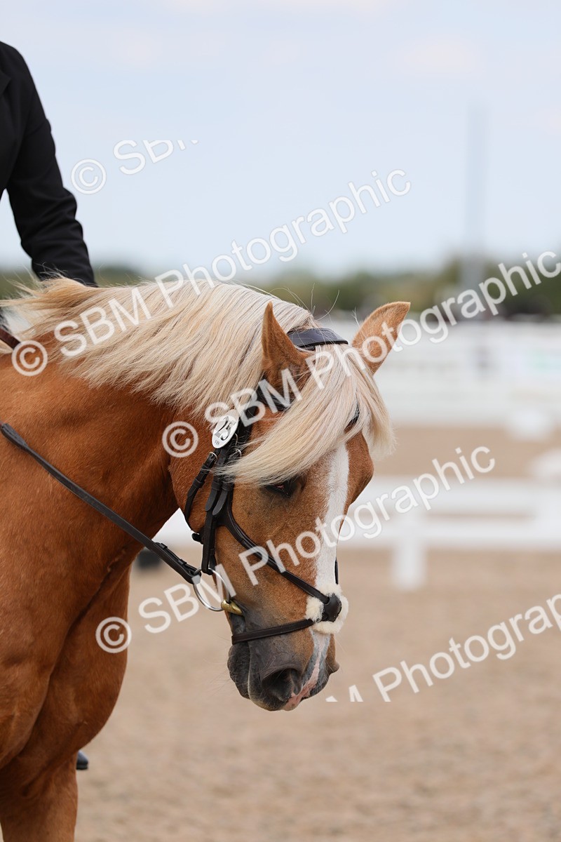 SBM_05744 - Class 32 Novice 1