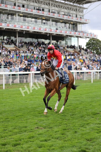 yr19082022r4-90 - Race 4 3.35pm Coolmore Wootton Bassett Nunthorpe Stakes (British Champion Series Race)