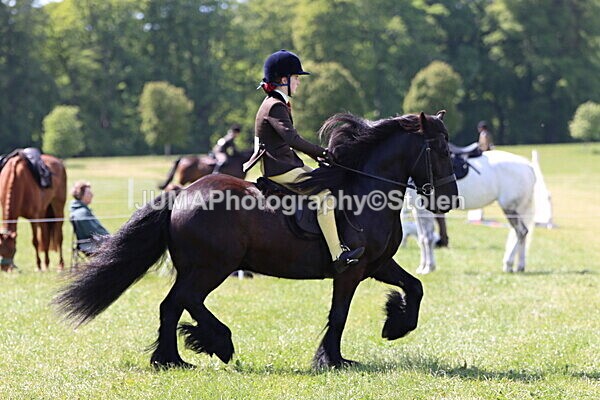 IMG_4389 - Working Hunter