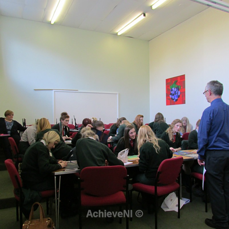  - Peer Mentoring 2014