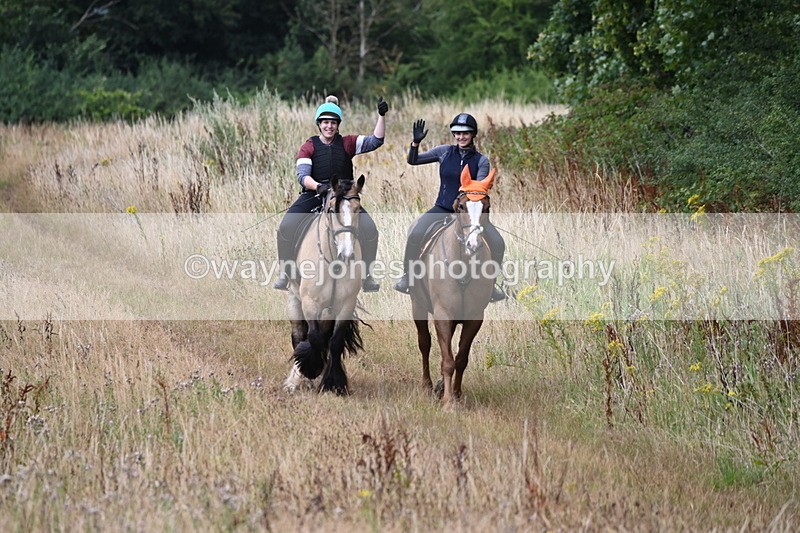 WJ6_2441 - Group 7