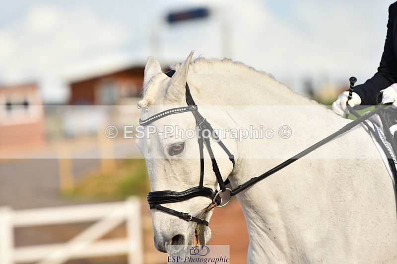 231104A-130058-01823 - Cls 8 Elementary 59