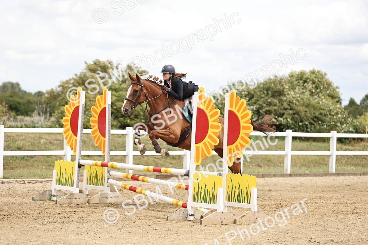 SBM_005628 - 80cm showjumping