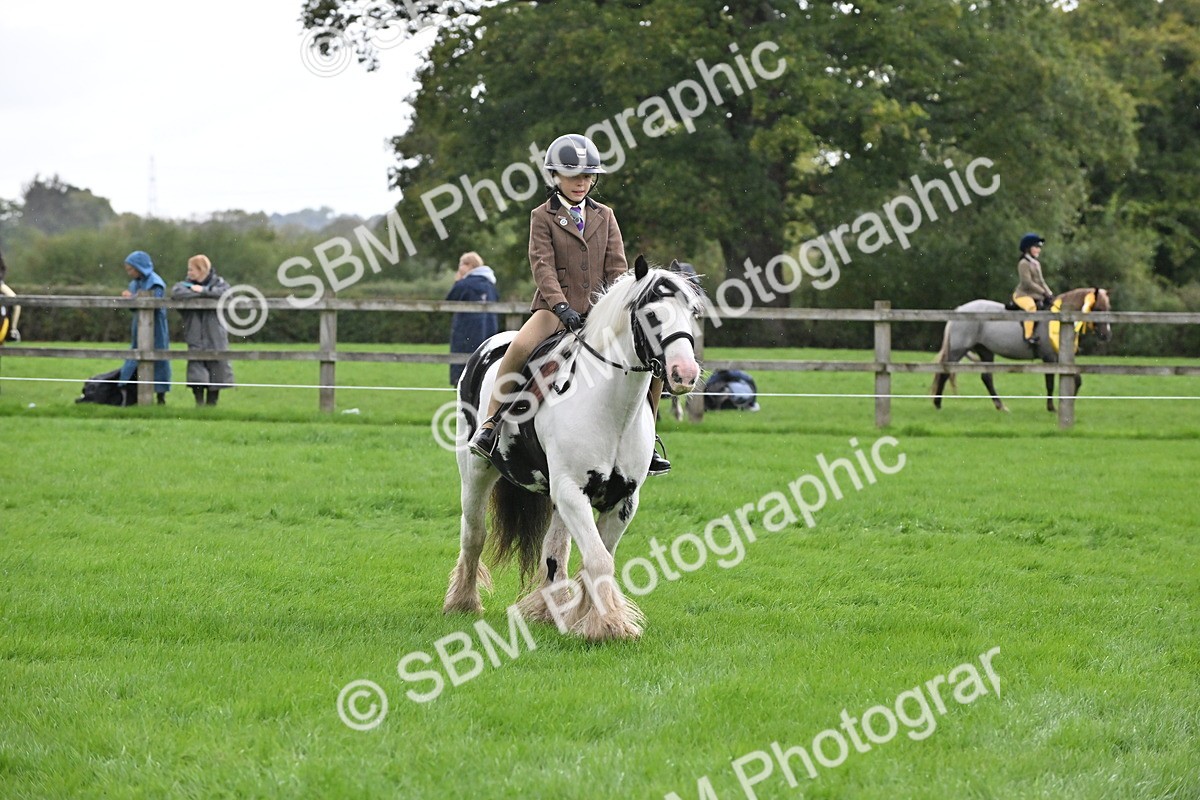 SBM_42923 - S12 - Family Horse & Pony