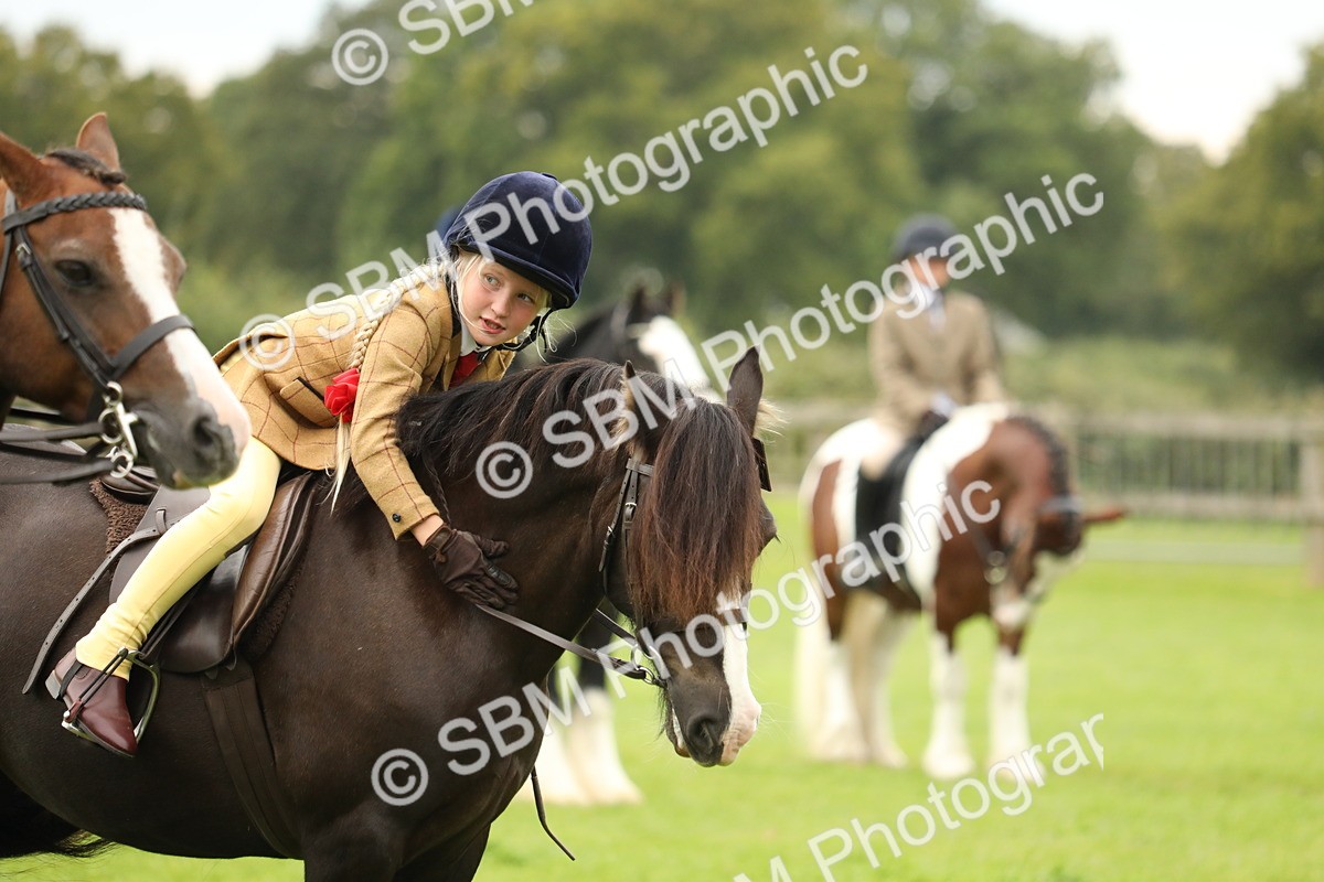 SBM_71389 - S41 - Ridden Equitation (Best Rider)