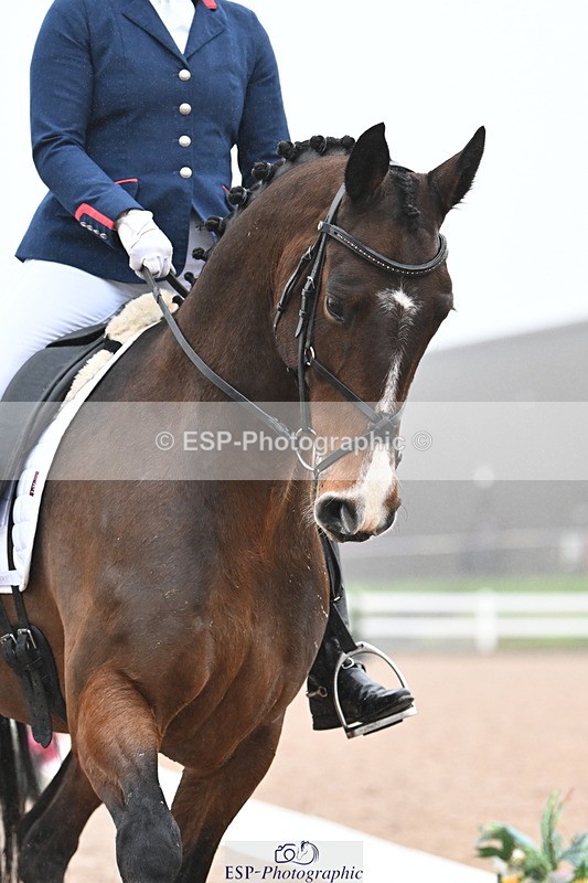 240217A-095745-00671 - 207-Charlotte.Dicker-Time.to.Fly.II