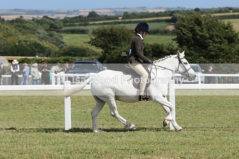 JPP_2286 - Class 19: Working Hunter 60cm