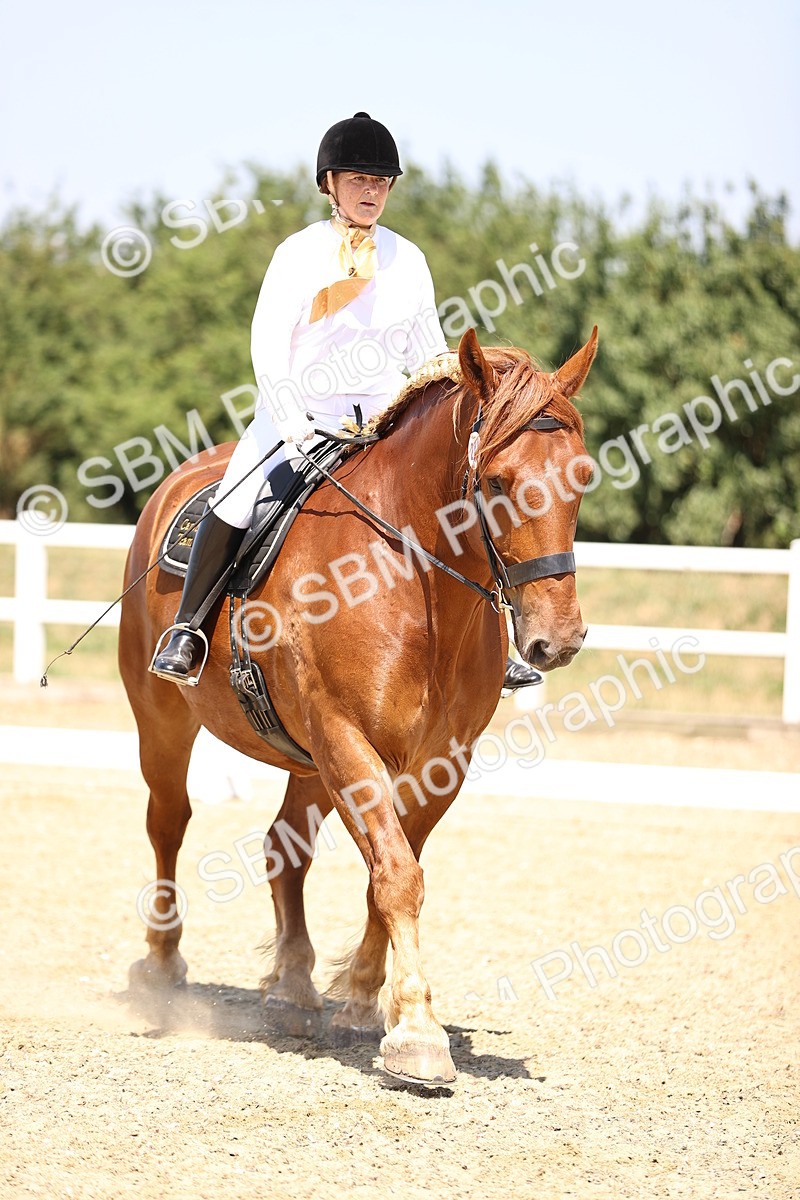 SBM_004138 - Intro 2