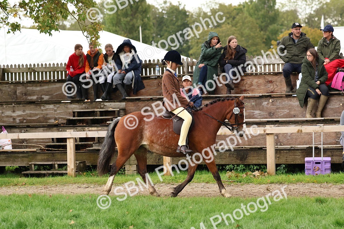 SBM_44965 - S27 - Young Veteran Ridden