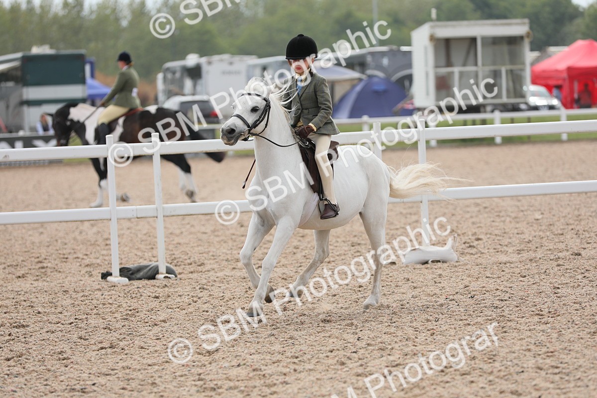 SBM_16929 - Class 314 Family Horse/Pony
